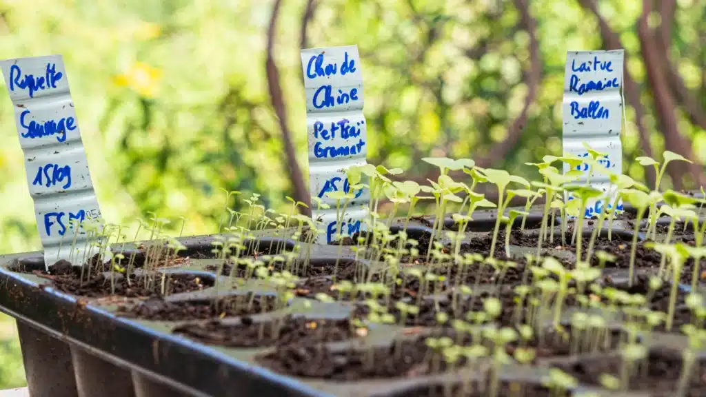 Idée cadeau anniversaire DIY pour sa maman, son mari ou un proche passionné de nature : atelier Wecandoo de permaculture avec artisan jardinier, outils, plants et planches de culture, ambiance naturelle et conviviale, mettant en valeur l’autonomie et la culture durable.