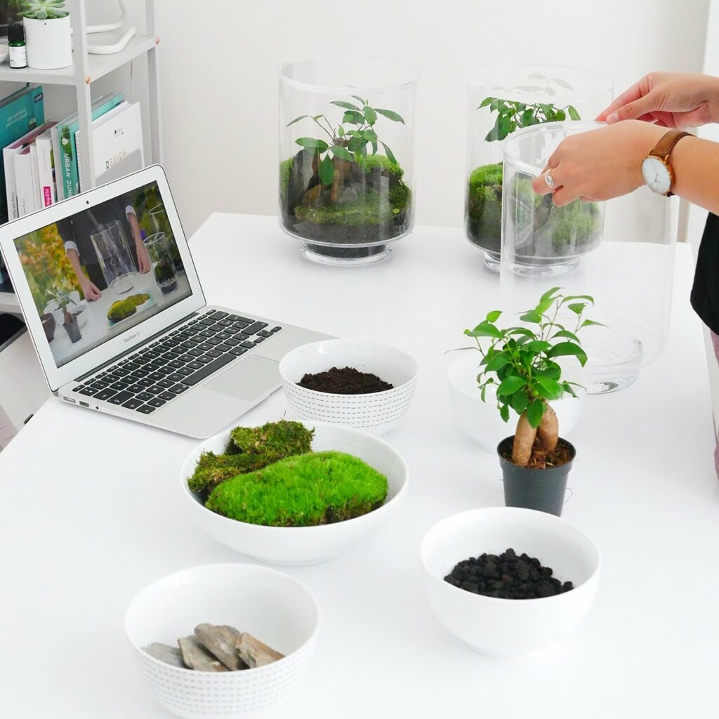 Idée cadeau anniversaire DIY pour sa femme, sa sœur ou son amie créative : kit terrarium Les Raffineurs comprenant bocal en verre, plantes, terre et mousses, posé sur une table en bois clair avec des cailloux et accessoires de jardinage, ambiance lumineuse et végétale, mettant en valeur la création manuelle et l’esprit nature fait maison.