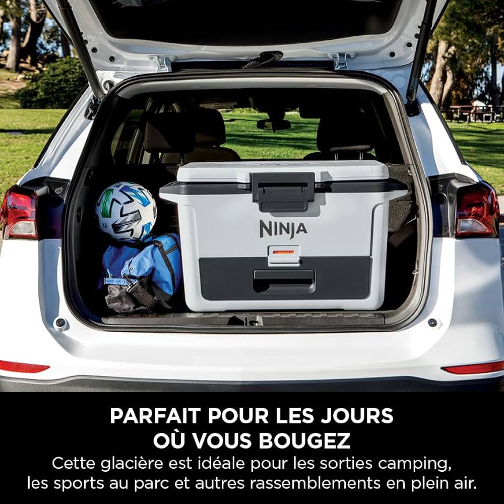 ableau illustratif des points forts et faibles de la glacière Ninja FrostVault : conservation 6 jours, tiroir Dry Zone, poids conséquent, prix élevé – comparatif utile pour les acheteurs indécis
