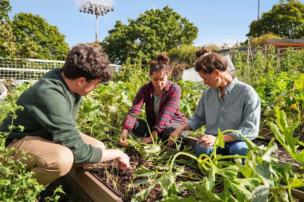 Atelier agriculture Wecandoo pour découvrir la permaculture, créer un potager en ville ou fabriquer un composteur. Activité écologique et pédagogique en lien direct avec la terre et les cycles naturels.
