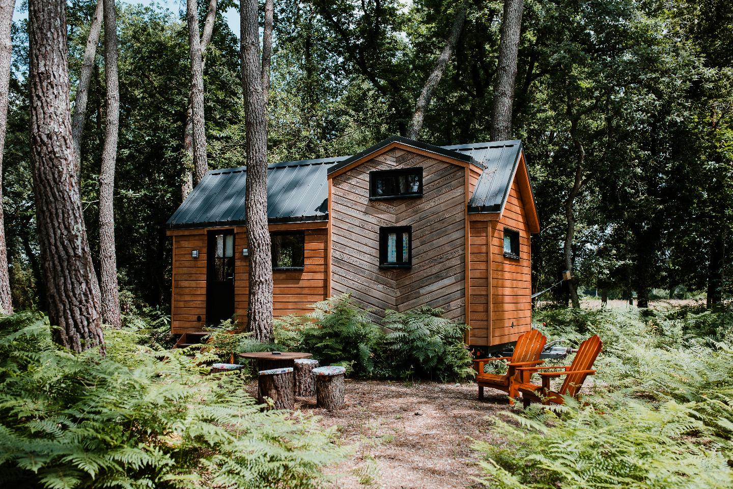 Vue d’un hébergement nature en France proposé sur Greengo, avec terrasse en bois, végétation luxuriante et cadre apaisant, illustrant un séjour responsable et abordable grâce à un code promo