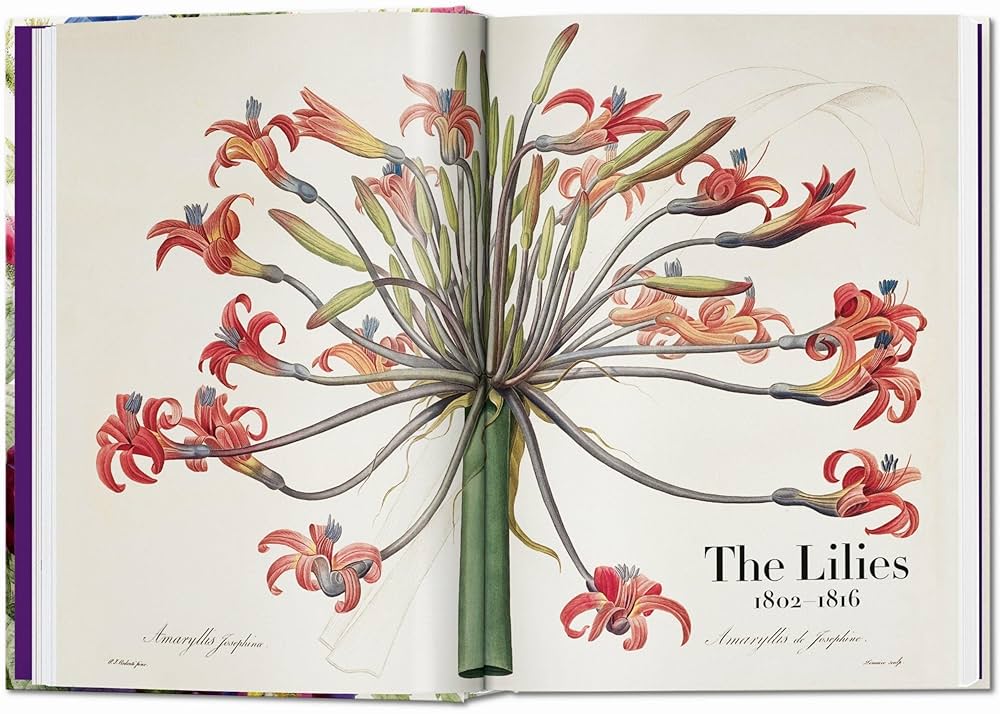 eau livre “Flowers” publié chez Taschen, idée de cadeau d’anniversaire pour une maman qui aime l’art, les fleurs, et les images qui font du bien. Un recueil de clichés botaniques, de mises en scène visuelles et de détails vintage, à feuilleter sans raison. Un bouquet de papier qui ne fane jamais, parfait pour une mère qui aime les belles choses, même si elle oublie toujours d’arroser ses vraies plantes.