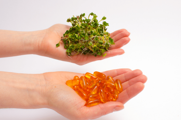 Compléments alimentaires vegan et végétariens formulés sans gélatine collagène marin ni huile de poisson avec alternatives végétales algues et plantes