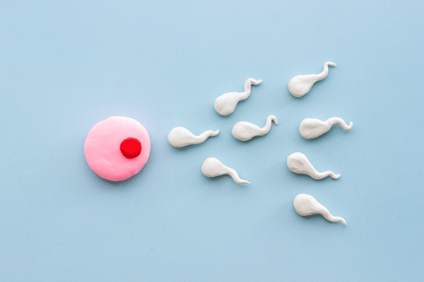 Photo d’un couple qui se tient la main avec tendresse, à côté d’une boîte de compléments alimentaires, symbolisant les cures naturelles pour soutenir la fertilité féminine et masculine
