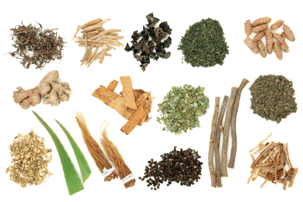 Présentation des plantes adaptogènes en compléments alimentaires ashwagandha rhodiola ginseng curcuma pour stress énergie concentration et équilibre global