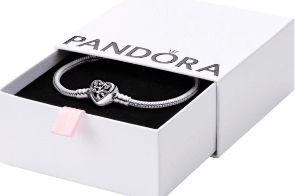 gros plan d’un bracelet Pandora en argent orné de plusieurs charms symboliques représentant des souvenirs personnels
