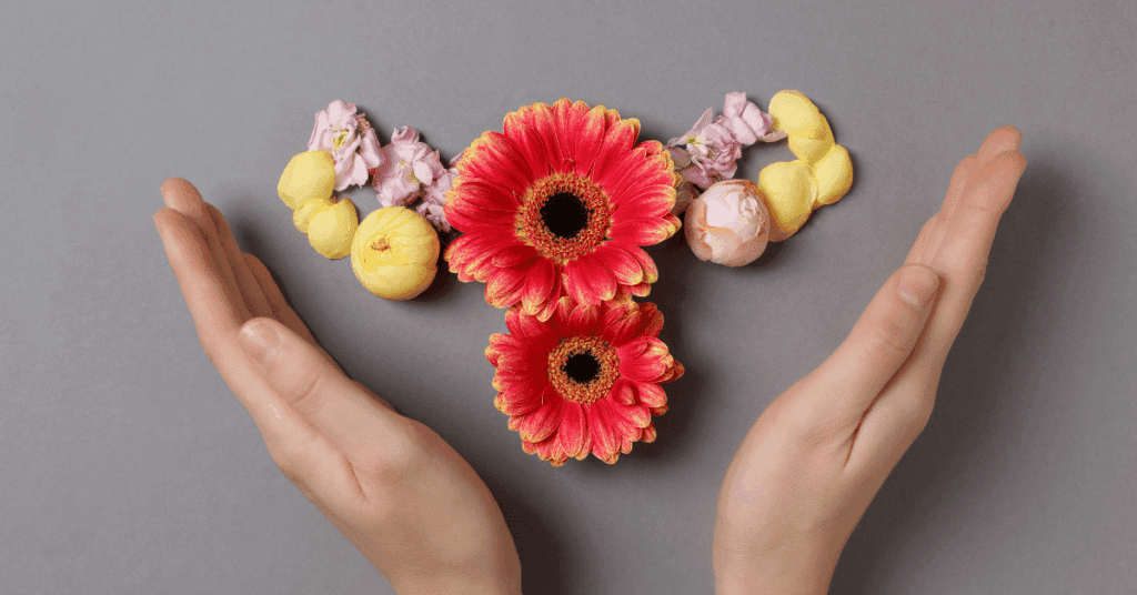 Flacons de compléments à base de soja et trèfle rouge posés sur un bureau, symbolisant les solutions naturelles contre les bouffées de chaleur et la fatigue.