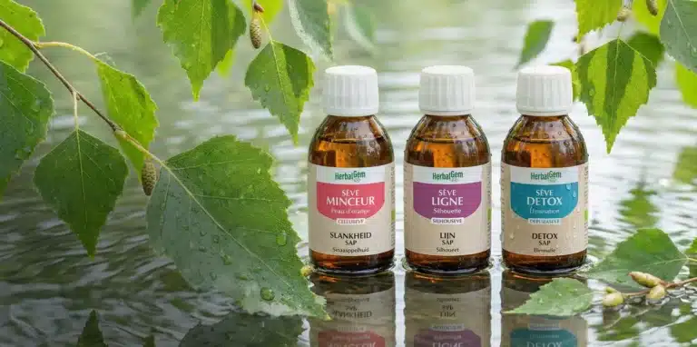 Flacons Herbalgem disposés sur une table en bois claire, gamme de compléments naturels à base de bourgeons bio illustrant la gemmothérapie.