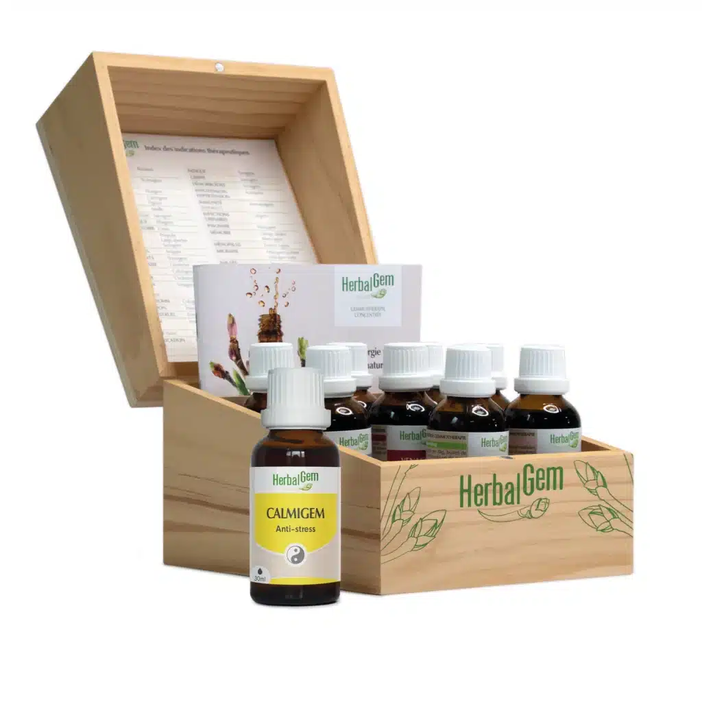 Laboratoire Herbalgem en Belgique illustrant la récolte des bourgeons frais et la fabrication artisanale de macérats glycérinés bio.