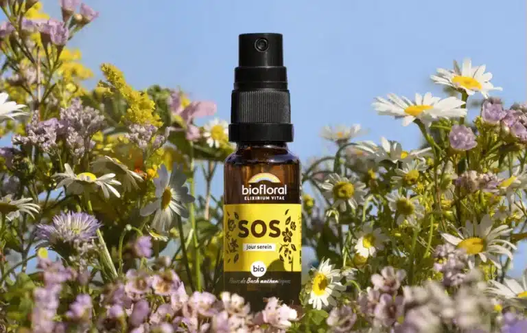 Produits Pranarôm disposés sur une table en bois, flacons d’huiles essentielles et capsules bio, illustrant le test et avis d’une marque reconnue pour son sérieux et son efficacité.