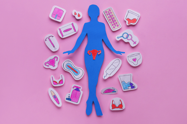 Photo de différentes protections menstruelles posées sur une table, incluant culottes menstruelles, serviettes hygiéniques bio et lavables, tampons bio et cup menstruelle, comparatif visuel pour illustrer un guide sur le choix de sa protection.