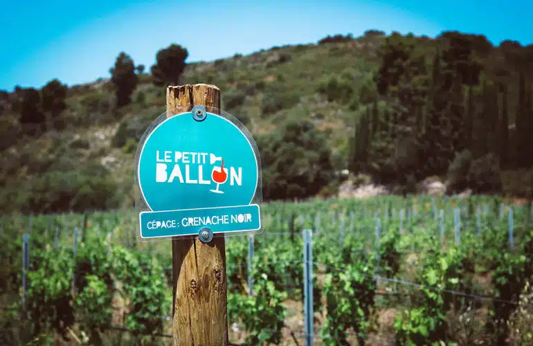 Synthèse des avis clients Le Petit Ballon illustrée par un coffret et des retours symboliques pour montrer la réputation positive et la fiabilité de l’abonnement.