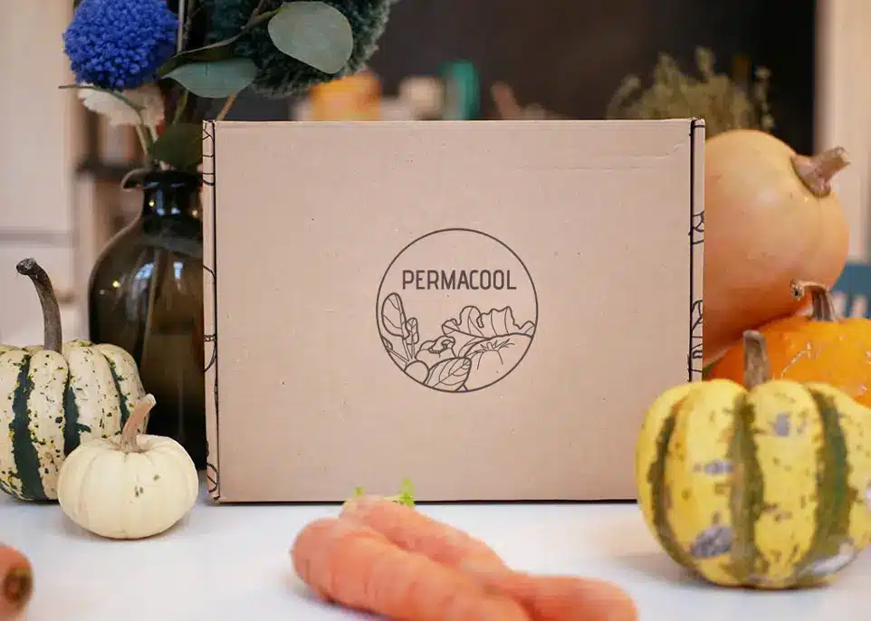 Sélection de graines, griffe florale et sachet de fleurs mellifères pour illustrer le contenu typique d’une box Permacool pensée pour le jardinage saisonnier.