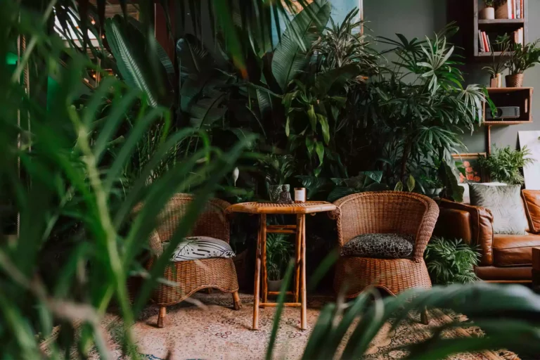 Avis complet Kindred montrant une maison lumineuse qui illustre le concept d’échange de domicile entre membres pour voyager à budget réduit grâce aux crédits offerts et au fonctionnement communautaire de la plateforme.