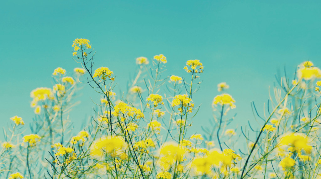 Produits beauté et bien être testés en conditions réelles sur une salle de bain avec soins, compléments et accessoires du quotidien