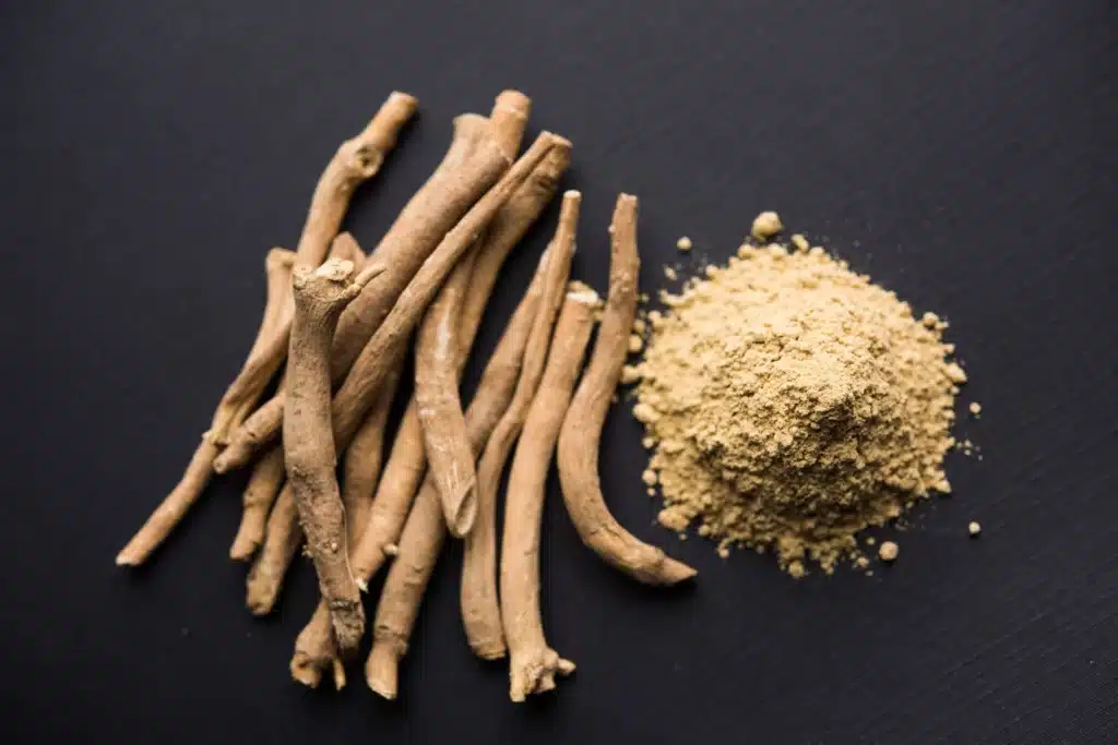Illustration des mécanismes d'action des champignons adaptogènes Lion's Mane Ashwagandha et Rhodiola Rosea sur le système nerveux et le cortisol, effet cumulatif versus effet immédiat expliqué visuellement
