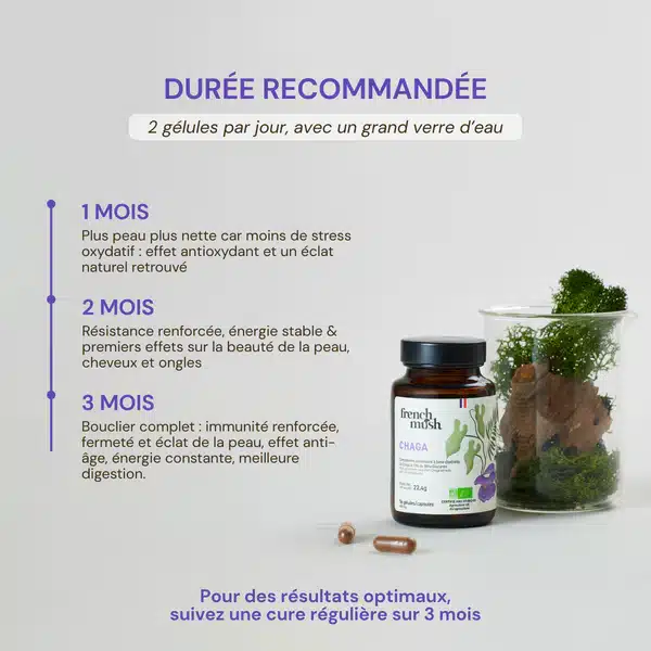 Gélules de Chaga French Mush Inonotus obliquus bio, champignon médicinal riche en antioxydants pour renforcer l'immunité et la santé de fond en cure hivernale, 32 euros les 56 gélules
