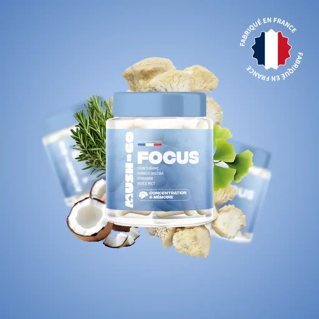 Illustration des mécanismes d'action des champignons adaptogènes Lion's Mane Ashwagandha et Rhodiola Rosea sur le système nerveux et le cortisol, effet cumulatif versus effet immédiat expliqué visuellement