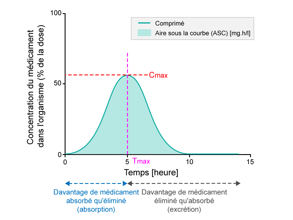 Poudre de champignon adaptogène French Mush extraite aux ultrasons avec biodisponibilité de 92 pour cent, comparaison visuelle avec une poudre brute non extraite dans deux récipients
