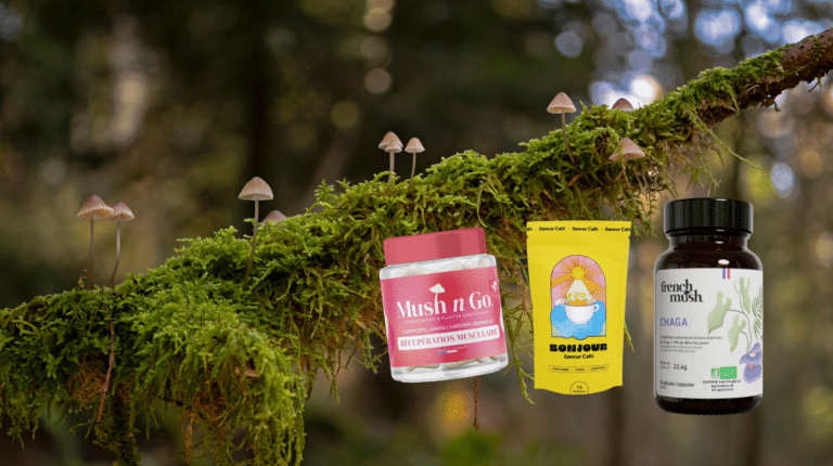 es trois meilleures marques de champignons adaptogènes testées côte à côte : boîtes de gélules French Mush, produits Mush n Go et sachet de boisson Bonjour, comparatif complet après plusieurs mois de test personnel