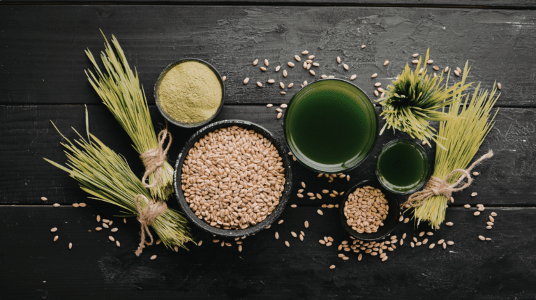 superaliments aliments haute densité nutritionnelle — myrtilles sauvages graines chia kale noix spiruline disposés sur fond naturel