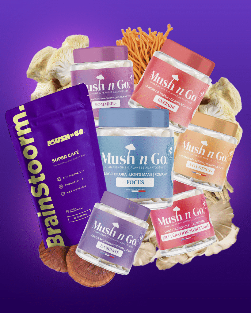 Vue d'ensemble des produits Mush n Go testés sur trois mois, boîtes de gélules Focus Energie Anti-Stress Sommeil et sachet Brainstoorm, verdict honnête sur les effets réels le prix et les limites de la gamme