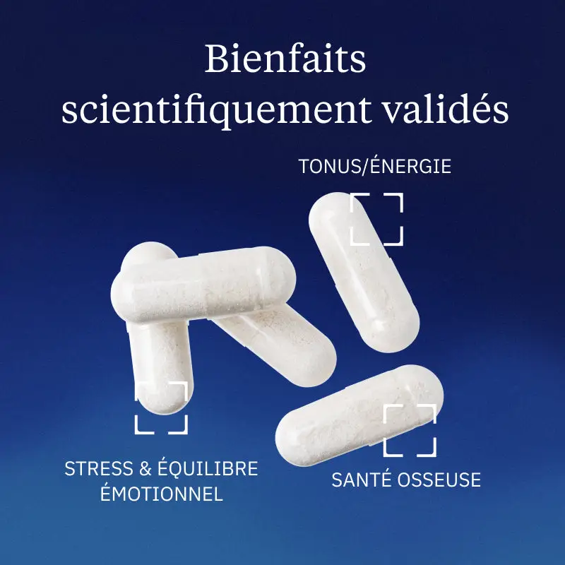 une capture d’écran de l’application que j’utilise pour suivre mon sommeil, avec les trois mois de ma cure de magnésium mis côte à côte. On voit clairement la fréquence des réveils nocturnes diminuer à partir de la sixième semaine, même si les nuits ne sont jamais devenues parfaites du jour au lendemain.