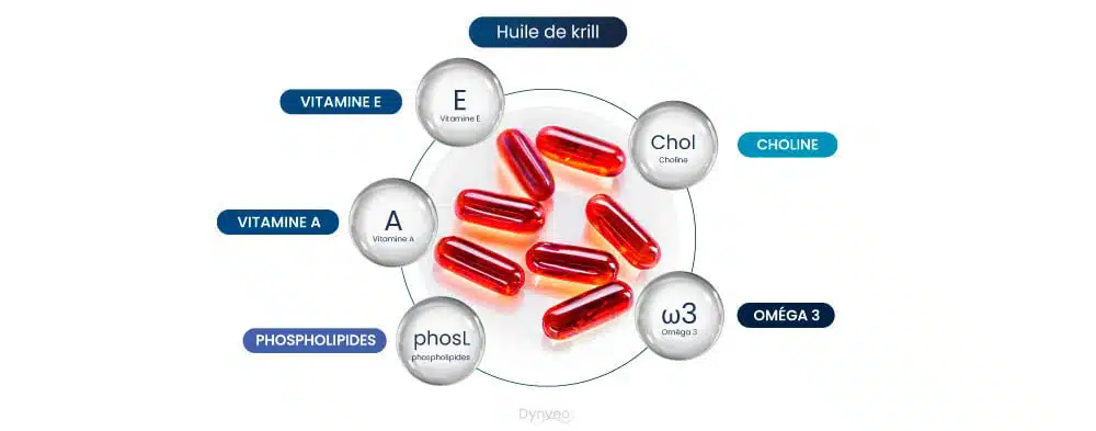 : le flacon d’huile de krill presque terminé après quatre mois de prise quotidienne, posé sur mon bureau à côté du nouveau flacon commandé pour continuer, la meilleure preuve que l’absence d’arrière-goût m’a permis de tenir la cure sans interruption.