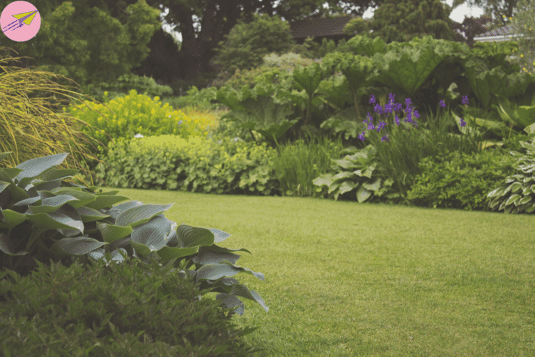 Jardin envahi par les herbes hautes avant restauration avec un robot de tonte