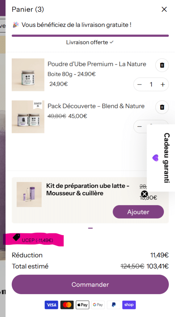 hoto du Pack Découverte Araw Blend & Nature dans le panier avec le code UCEP saisi, pour illustrer l'application de la remise de 10 %